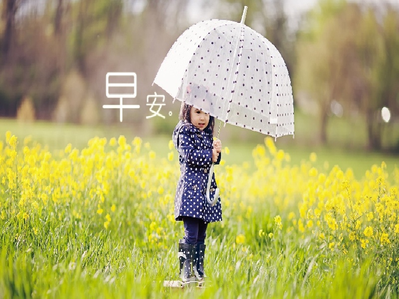 不孕不育女性检查费用（Fsh50 试管）